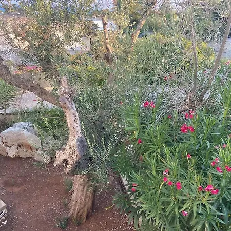 Chia' Santa Cesarea Terme